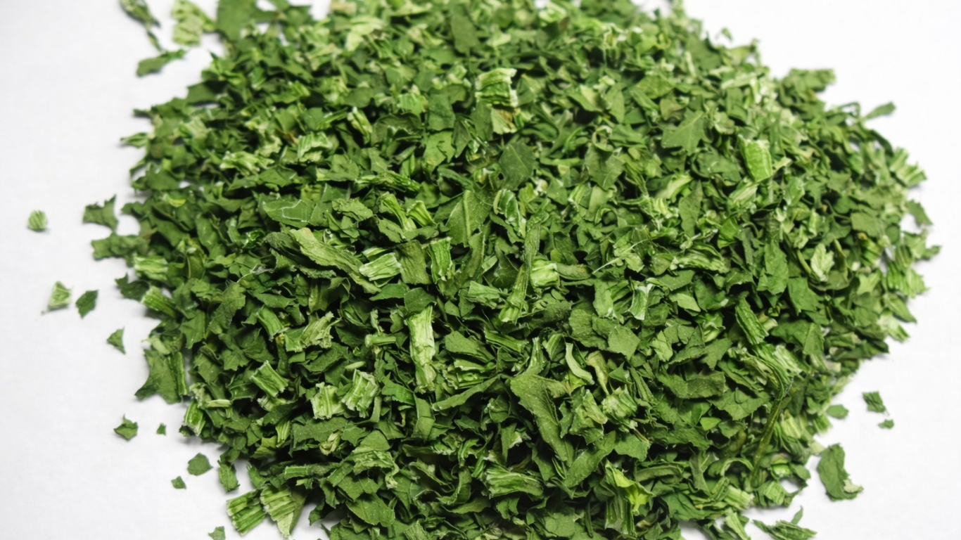 Jkann exports, india