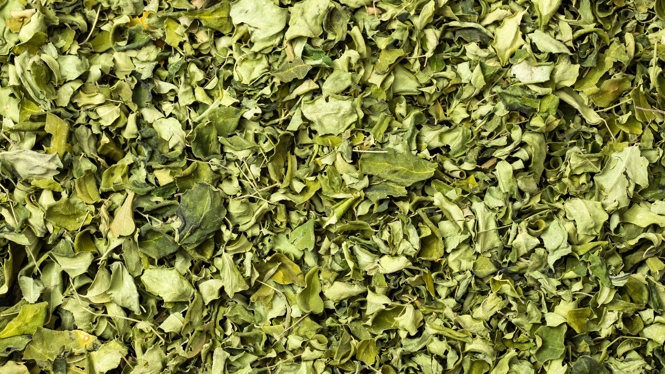Moringa Packaging